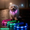 Populært LED halsbånd til hunde