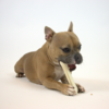 Chicken Stuffed Bone