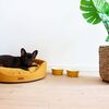 Hunter Eiby Keramik hundeskåle I sammen med Amiplay oval Hundeseng