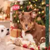 Trixie julekalender til hunde