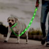 Hundesnor med LED-lys | Genopladelig