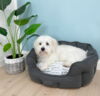 Ollipet Keyser Dream Hundeseng | Plys pude | Med bomuldshund på 6,5 kg