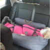 Ollipet XL Comfort Autosæde | Til 2 små hunde