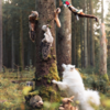 Vi har flere naturtro dyr