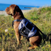 Ollipet Hiking Gear Backpack
