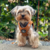 Ollipet Teddy Step-in hundesele | Brun og flot design