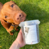 Snack'it Semi-Moist Mini Bones med vildt