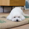 Kaffe - Hundemadras | Cafes Do Brasil