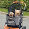 Ollipet Hundeklapvogn Firenze passer også til to små hunde