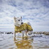 Hurtta Rainwear Mudaventure Hundejakke, er perfekt til vandreture med hunden
