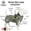 Ollipet Sirius de Luxe Dynejakke med refleks og sele INFO
