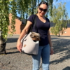 Ollipet Stockholm Citybag - Lun hundetaske