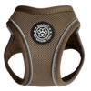 Ollipet For Wagging Tails | Step in Sele