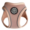 Ollipet For Wagging Tails | Step in Sele