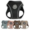 Ollipet For Wagging Tails | Step in Sele