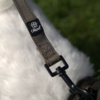 Ollipet For Wagging Tails Hundesnor detaljer