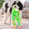 Festlig plys bamse til hunde, perfekt til interaktiv leg og hyggestunder