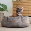 Den lækre og bløde hundekurv Six Stars i farven Warm Grey str 60x60 cm