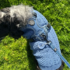 Hundesweater, Sele og snor fra Ollipet for Wagging Tails Serien