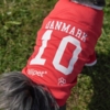 På ryggen af Ollipet Sports -tshirt er nummeret 10 med teksten Danmark