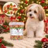 Snack’it julemix med farverige hundegodbidder formet som julestjerner, juletræer og små figurer.