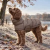Den perfekte hundejakke til vinter