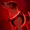 Step-in hundesele med LED-lys – nem at give på og lyser effektivt i mørke
