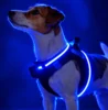 Step-in hundesele med LED-lys – nem at give på og lyser effektivt i mørke