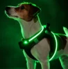 Step-in hundesele med LED-lys – nem at give på og lyser effektivt i mørke