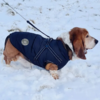 arctic-explorer-jakke-til-bassethund