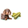 Brit Care Dog Mini Dental Sticks Fresh Breath tyggepinde til små hunde. Praktiske små tandsticks til daglig tyggeaktivitet for små racer