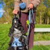 Refleks Dressurline matcher fint med andre produkter i  Ollipet For Wagging Tails Serien