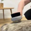 Hundebørste i brug på stor hund med tyk pels