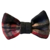 Companion Butterfly | Assorteret