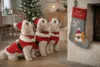 Lad hunden være med i julens traditioner med Companion julesok. En charmerende sok med hundemotiv, klar til lækre godbidder og små juleoverraskelser.