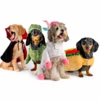 Dogman Hundekostume til fastelavn og halloween