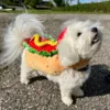 Hunde hotdogkostume