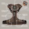 Ollipet For Wagging Tails | Airflex hundesele