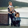 Hundeklapvogn fra Innopet - Model Buggy Cozy Premium.
Her vist i farven beige