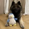 Sød pingvin bamse til store og små hunde