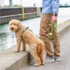 Urban Classic™ hundeline i moderne dansk design