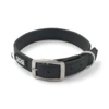 Dog Copenhagen Urban Classic™ Hundehalsbånd med satin-poleret spænde