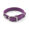 Dog Copenhagen Urban Classic™ Hundehalsbånd Purple Passion
