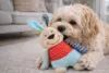 Hund leger med Companion hunde legetøj patchwork kanin
