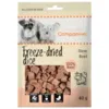 Companion Beef Freeze-dried Dice 40g frysetørrede hundegodbidder med oksekød