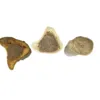 Faunakram Filled Bones 3-pack