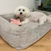 Ollipet Saga memoryskum hundekurv med ortopædisk støtte og bløde kanter