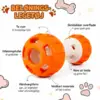 AFP Treat hider - Treat Ball Dumbell