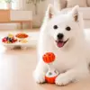 AFP Treat hider - Treat Ball Dumbell