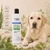 PSH Total Care shampoo med grøn te, som plejer og renser hundens pels – vist sammen med en liggende labrador